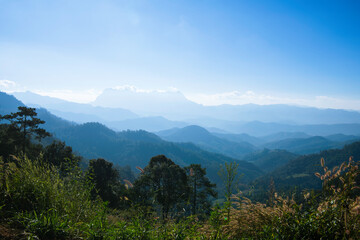 Fototapeta premium mountain landscape with trees