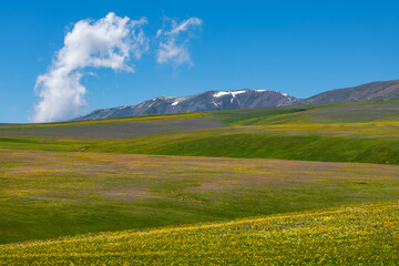 The picturesque high-mountain plateau of Asy in the Almaty region of southeastern Kazakhstan...
