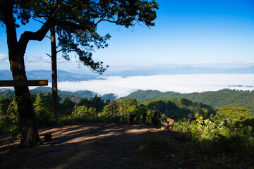 mountain landscape with trees