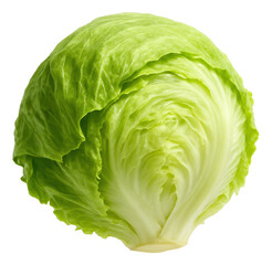 Fototapeta premium Crisp and fresh whole head of green iceberg lettuce showcasing its vibrant layers on transparent background.