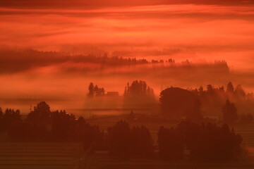 岩手県花巻市　朝の田園風景