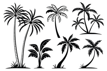 Palm trees silhouettes vector set 