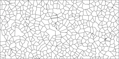 Obraz premium Abstract black and white cellular structure texture creating organic geometric pattern in a seamless arrangement for background use