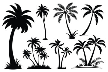 Palm trees silhouettes vector set 