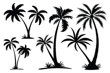 Palm trees silhouettes vector set 