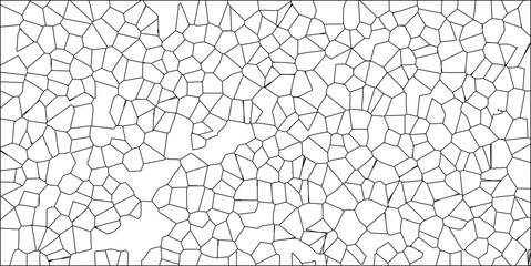 Abstract cellular structure pattern of irregular polygons in black and white with graphic organic textures and white space for designs