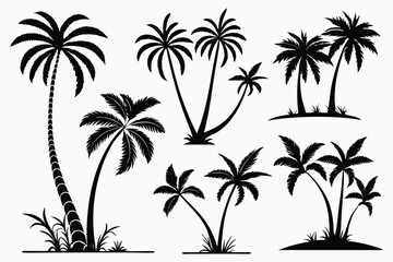 Palm trees silhouettes vector set 