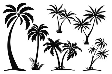 Palm trees silhouettes vector set 