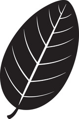 Guava Leaf Natural Illustration in Silhouette Vector Format