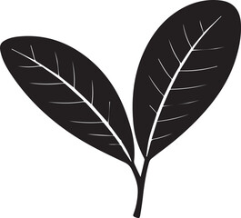 Fototapeta premium Guava Leaf Natural Illustration in Silhouette Vector Format
