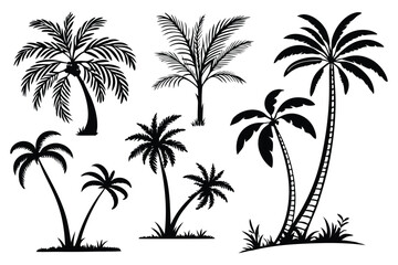 Palm trees silhouettes vector set 