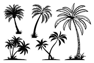 Palm trees silhouettes vector set 