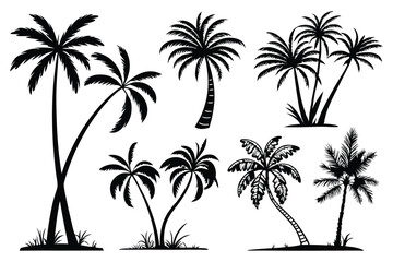 Palm trees silhouettes vector set 
