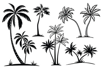 Palm trees silhouettes vector set 