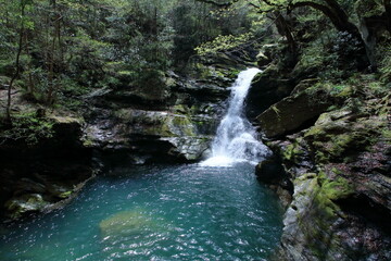 蛇渕の滝　初夏の景観　（高知県　土佐町　瀬戸川渓谷）