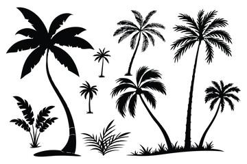 Palm trees silhouettes vector set 