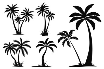 Fototapeta premium Palm trees silhouettes vector set 