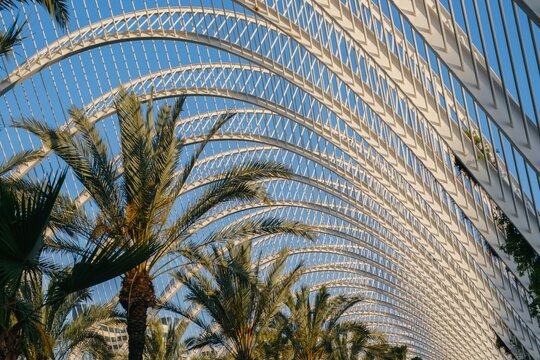 Umbracle, located within the City of Arts and Sciences in Valencia, Spain, a stunning modern architectural garden with arched structures and lush vegetation,