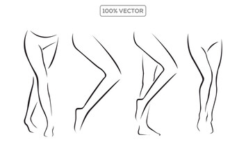 set of Female legs vector illustration