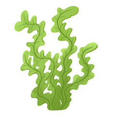 Green cartoon seaweed illustration. Hand drawn marine plant on white background. Perfect for ocean themed designs, aquarium decorations, kids books, and underwater scenes.  © Светлана Карапетян