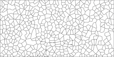 Geometric cell structure abstract black and white pattern design showing organic forms and repeating shapes suitable for backgrounds and textures