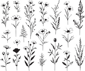 minimal botanical graphic sketch drawing, trendy tiny tattoo design, floral elements vector illustration