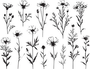 minimal botanical graphic sketch drawing, trendy tiny tattoo design, floral elements vector illustration