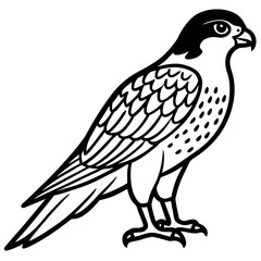 Northern Falcon line art vector