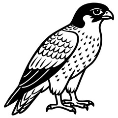 Northern Falcon line art vector