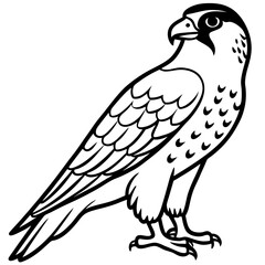 Northern Falcon line art vector