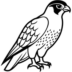Northern Falcon line art vector