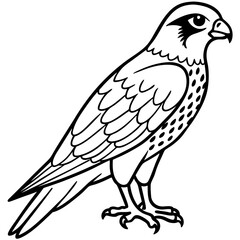 Northern Falcon line art vector