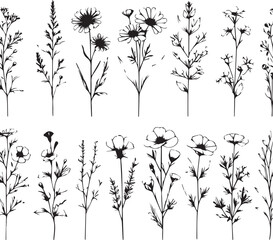 minimal botanical graphic sketch drawing, trendy tiny tattoo design, floral elements vector illustration