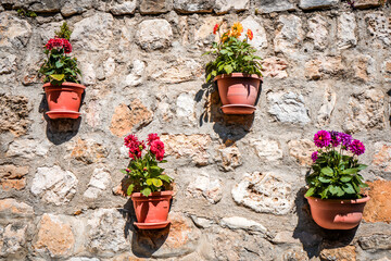 Naklejka premium Multicolored Petunias in Pots on Wall in Ulcinj, Montenegro