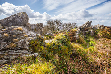 Rocks and vegetation on the rocky hills from the highest point of Brittany, France