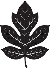 Walnut Leaf Silhouette Vector | Black Vector Art Illustration