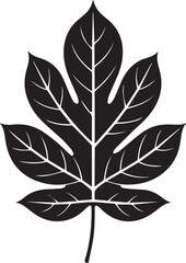 Walnut Leaf Silhouette Vector | Black Vector Art Illustration