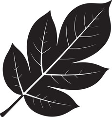 Walnut Leaf Silhouette Vector | Black Vector Art Illustration