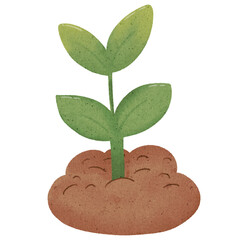 green plant growing in soil