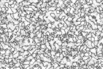 Black and White Veined Marble Texture