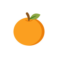 Vector illustration of an orange fruit on a white background. Fruit icon with flat style