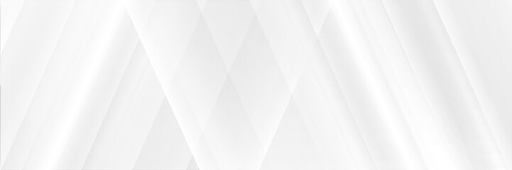 Abstract white line texture with blank space design background vector illustration.