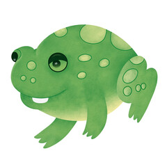 Funny Frog Cartoon
