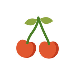 Vector illustration of an cherry fruit on a white background. Fruit icon with flat style