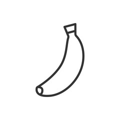 Vector illustration of an banana fruit on a white background. Fruit icon with line style