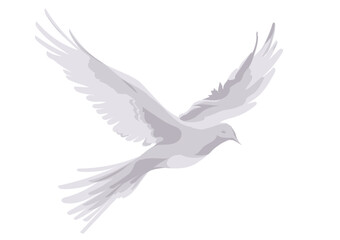 Graphic white dove flying