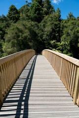 Long Wooden Bridge Leading into Lush New Zealand Forest