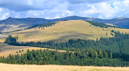 Transalpina landscape