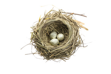 Bird nest with three eggs isolated on a white background