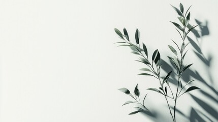 Fototapeta premium Minimalist design isolated on white background